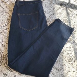 Plus Size High Rise Skinny Jeans